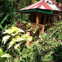 B&B Roseau - Berkey's Jungle Paradise - Bed and Breakfast Roseau