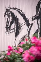 Avoca Park Equestrian Farmstay - Chambres d’hôtes