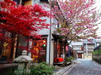 Guesthouse Soi - Ferienwohnung