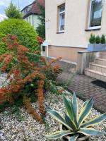 Simply Good Appartment - B&B Borna