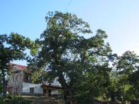 O Bilhó - B&B
