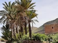 Apartamento carboneras y disfruta del LUJO del Parque Natural Cabo de Gata Nijar - Chambres d'hôtes Carboneras
