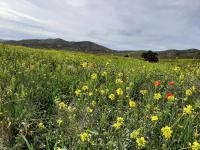 Apartamento carboneras y disfruta del LUJO del Parque Natural Cabo de Gata Nijar - Ferienwohnung Carboneras