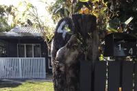 Withanee - B&B Picnic Bay