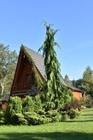 Góralski domek z kominkiem, wygodny, ciepły, zwierzaki mile widziane, ogrodzony - B&B