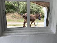 3 Bed Lodge - Sleeps 6 - Pool - Terrace - Parking - B&B Loja