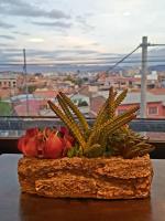 Studio Mirador, todo lo que necesitas para disfrutar - B&B Tarija