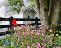 Beech Tree Cottage - B&B