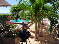 Les Gites Capra - Villa Aiméandre piscine et Spa - B&B Bouillante