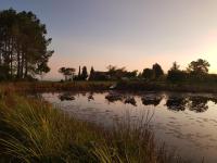 Greenhill Farm Cape Dutch Cottage Plettenberg Bay - 1 Bedroom Private Cottage - Ferienwohnung Plettenberg Bay
