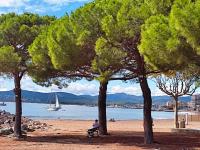 F3 moderne proche marché et mer - B&B