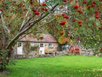 One-Bedroom Holiday Home