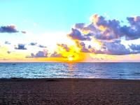 Paradise Awaits! Beach, King Bed, Private Yard & Workspace - B&B Deerfield Beach