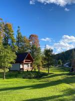 Котедж На Лузі - B&B Verkhnij Studenyi