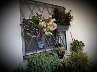 Casa Rural Pariente - B&B El Real de la Jara