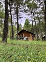 Casa Rural Campanilla - B&B Riópar