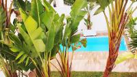 B&B Tunis - Maison plain-pied avec piscine chauffée - Bed and Breakfast Tunis