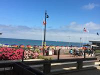 Appartement FACE MER accès direct plage - Bed and Breakfast Houlgate