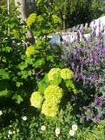 Doppelzimmer mit Gartenblick