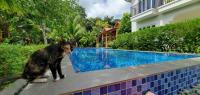 B&B Phu Quoc - AnAn Boutique Bungalows with Private Kitchen - Bed and Breakfast Phu Quoc