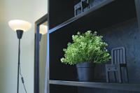 Sky View Apartment Bukoto Kampala - B&B Kampala