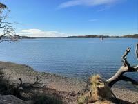 East Walls Apartment - B&B Chichester