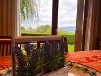 Casa adosada para familias en Santa Leocadia - B&B Sainte-Léocadie