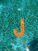 The Jade Garden - Your home in Gili Air New house! - Chambres d'hôtes Gili Air