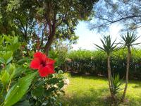 B&B Cittadella del Capo - Seaside Villa with private garden - Bed and Breakfast Cittadella del Capo