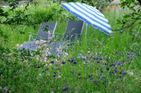 An den Weiden - Bed and Breakfast Bad Harzburg