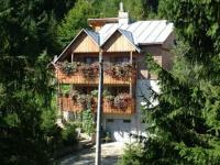 Villa Doina - B&B