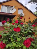 Karolina Apartment - B&B Békéscsaba