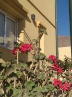 Departamentos PASEO DE LAS VIÑAS, CAFAYATE - B&B Cafayate