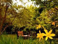 AVIATRIX Night Airport Haven - B&B Riga