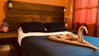 Standaard Kamer met Queensize Bed