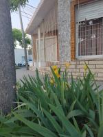 Camelia - B&B San Pedro