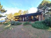 Árbol de Oro - Terrafirme - B&B Villa Yacanto