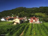 Apartamento de 2 dormitorios