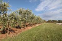 Agriturismo La Ronca - Chambres d’hôtes San Vincenzo