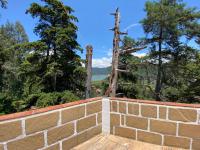 Casa del Bosque 1 - Chambres d’hôtes Valle de Bravo