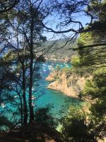 Studio cosy proche mer - B&B Saint-Cyr-sur-Mer