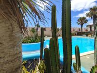 sakina parque paraiso - B&B Parque Holandes