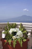 B&B Vico Equense - Villa Margi - Bed and Breakfast Vico Equense