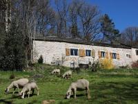 B&B Montredon-Labessonnié - Gîte LA FENIAL - Bed and Breakfast Montredon-Labessonnié