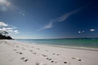 Bush & Bay Cottage - B&B Erowal Bay