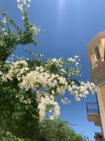 Villa Giada - Chambres d'hôtes Trani