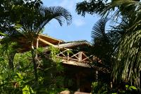 Eden Jungle Lodge - B&B