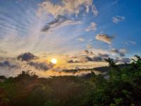 Hotel Ficus - Monteverde