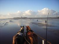 Residenz Deichgraf - B&B Cuxhaven