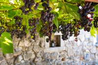 Karst house Žan Pliskovica with private pool - B&B Duttogliano